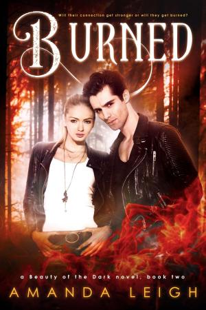 Cover of the book Burned by Fabiola Danese