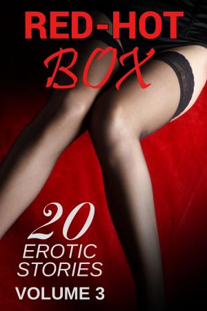 Book cover of Red-Hot Box Volume 3: 20 Erotic Stories