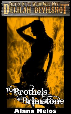Cover of The Brothels of Brimstone