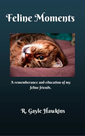 Cover of the book Feline Moments by Dave Mullan