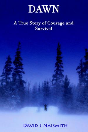 Cover of the book Dawn: a True Story of Courage and Survival by John Wolcott Adams