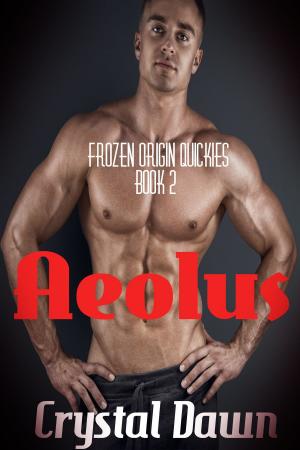 Cover of the book Aeolus by Aurora Ballarin