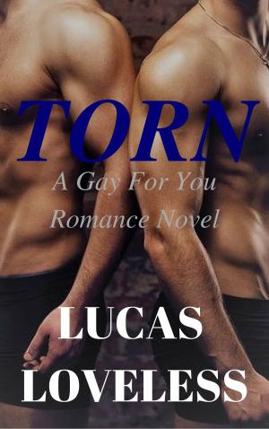 Cover of the book Torn: A Gay For You Romance Novel by Roselynn Randerod
