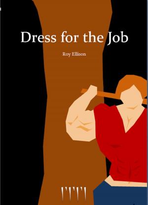 Cover of the book Dress for the Job by Natalie Mathenge