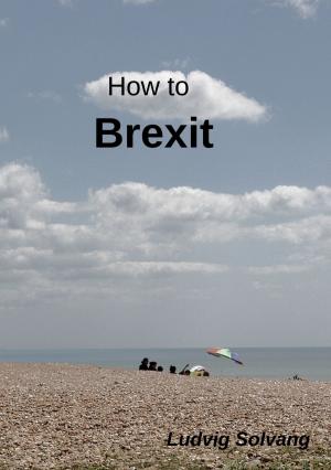 Book cover of How to Brexit