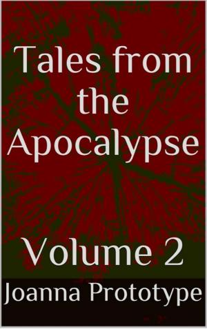 bigCover of the book Tales from the Apocalypse Volume 2 by 