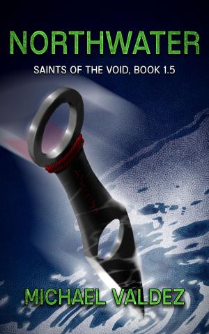 Cover of the book Northwater (Saints of the Void, Book 1.5) by Scott Warren