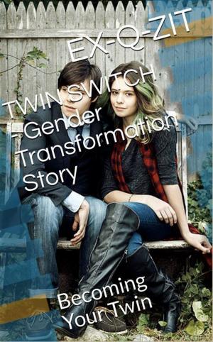 Cover of the book Twin Switch: Gender Transformation Story by R. B. Baxter