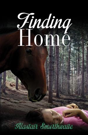 Cover of the book Finding Home by Ellie Izzo, PhD, Vicki Carpel Miller, BSN, MS, LMFT