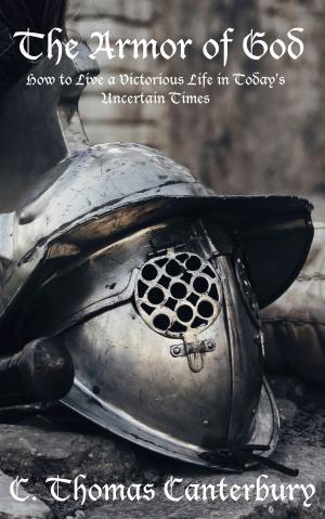 Cover of the book The Armor of God by Anne A. Sears