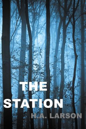 Cover of the book The Station by Rickard B DeMille
