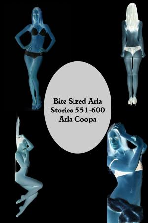 Cover of Bite Sized Arla: Stories 551-600
