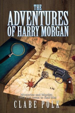 Cover of The Adventures of Harry Morgan, Volume 1