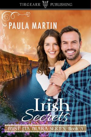 Cover of the book Irish Secrets by Leah Sharelle