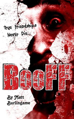 Cover of the book BooFF by Joshua Renneke