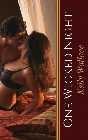 Cover of the book One Wicked Night by Lora Ann