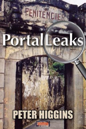 Cover of the book PortalLeaks by PJ Gordon