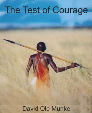 Cover of the book The Test Of Courage by Ben Cassidy