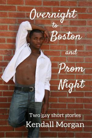 Book cover of Overnight to Boston and Prom Night