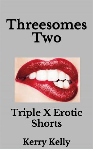 Book cover of Threesomes Two: Triple X Erotic Shorts