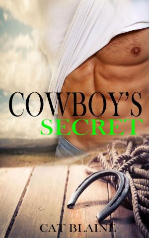 Book cover of Cowboy's Secret