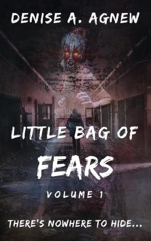 Cover of the book Little Bag of Fears: Volume 1 by Hazel Butler