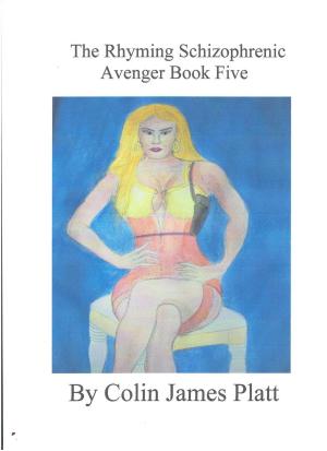 Book cover of The Rhyming Schizophrenic Avenger Book Five
