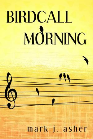 Book cover of Birdcall Morning
