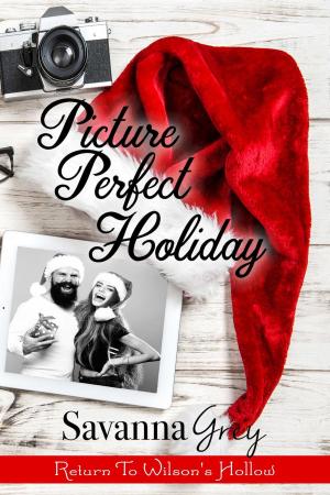 Cover of the book Picture Perfect Holiday by Carla Krae