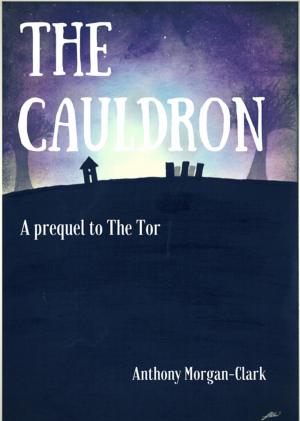 Book cover of The Cauldron: a prequel to The Tor