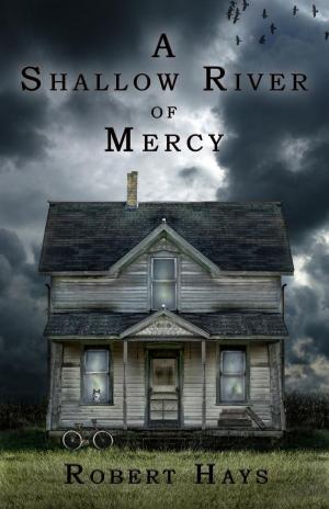 Cover of the book A Shallow River of Mercy by Robert Hays