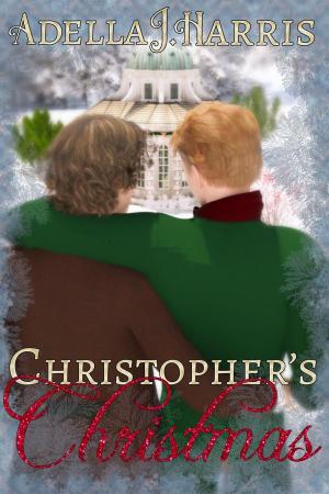 Book cover of Christopher's Christmas