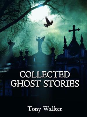 Cover of the book Collected Ghost Stories by Sandy Crow, Albin Lazariani, Génésys Collectif, Sebastien Clarac, Sean Clarse