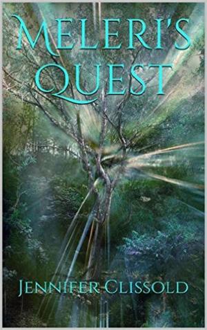 bigCover of the book Meleri's Quest by 