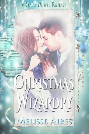 bigCover of the book Christmas Wizardry by 