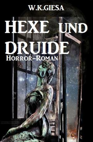 Book cover of Hexe und Druide