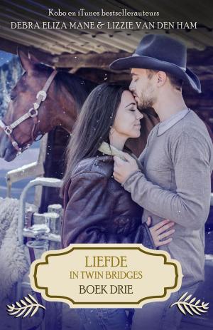 Book cover of Liefde in Twin Bridges: boek drie