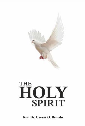 bigCover of the book The Holy Spirit by 