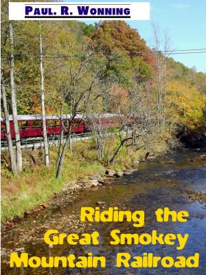 Book cover of Riding the Great Smokey Mountain Railroad