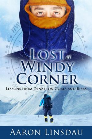 Cover of the book Lost at Windy Corner by Aaron Linsdau