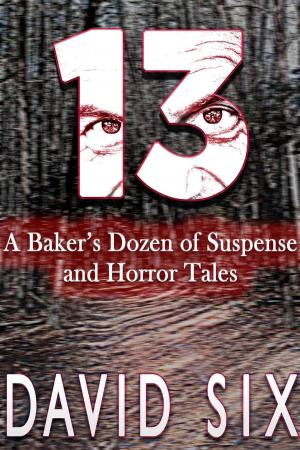 bigCover of the book 13: A Baker’s Dozen of Suspense and Horror Tales by 