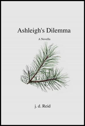 Cover of the book Ashleigh's Dilemma by Jean Erhardt