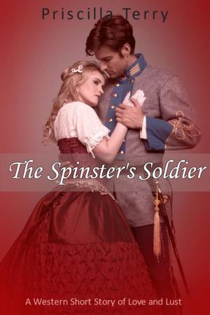 Cover of The Spinster's Soldier: A Western Short Story of Love and Lust