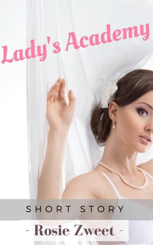 Cover of the book Lady’s Academy by Faith Sullivan