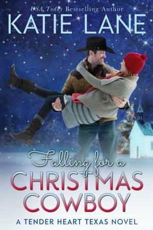 Book cover of Falling for a Christmas Cowboy