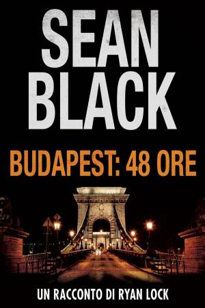 Book cover of Budapest: 48 ore