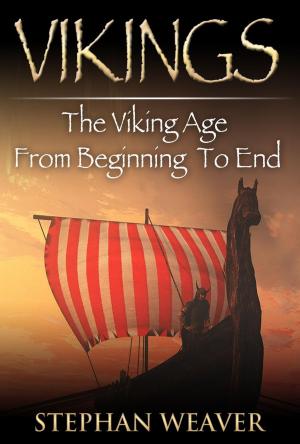 Cover of the book Vikings: A Concise History of the Vikings by Tim Johnson