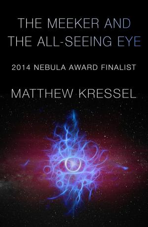 Book cover of The Meeker and the All-Seeing Eye