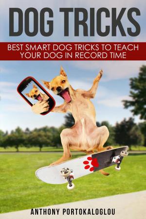 Cover of Dog Tricks: Best Smart Dog Tricks to Teach Your Dog in Record Time