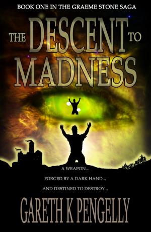 Cover of the book The Descent to Madness by Tansy Rayner Roberts